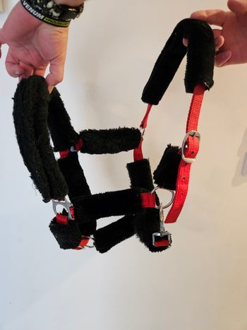 Licol taille cheval