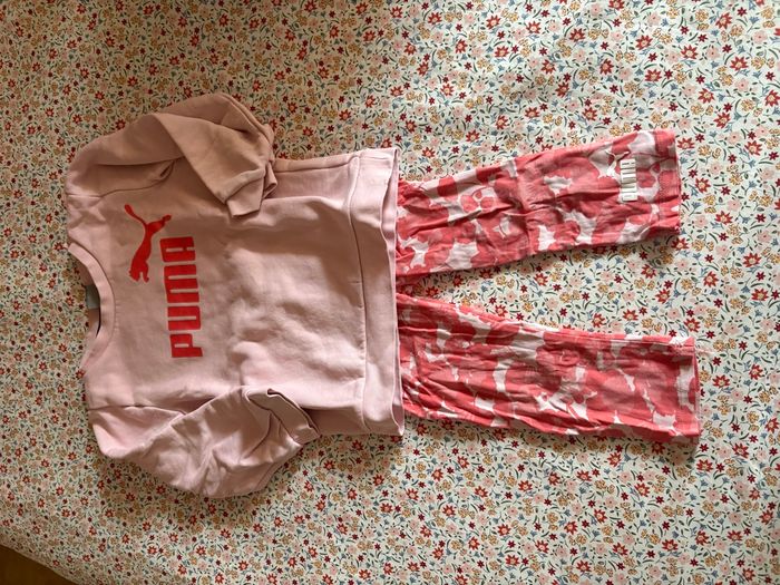 Ensemble puma