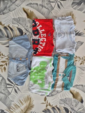 Lot de 5 tee-shirt manche courtes