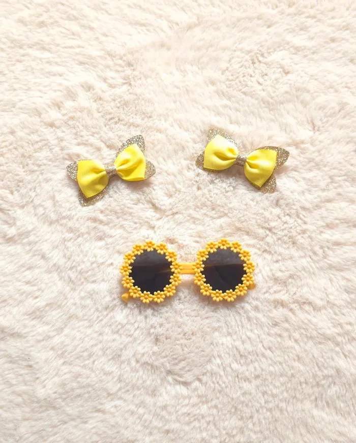 Lunette de soleil + deux pinces