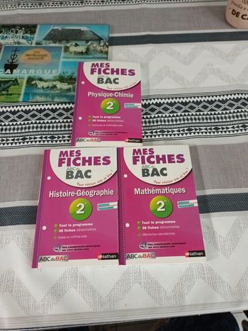 Lot 3 livre de poche niveau Bac