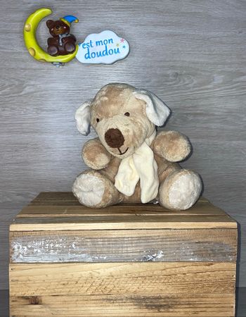 BG167  doudou chien 🐶 bengy