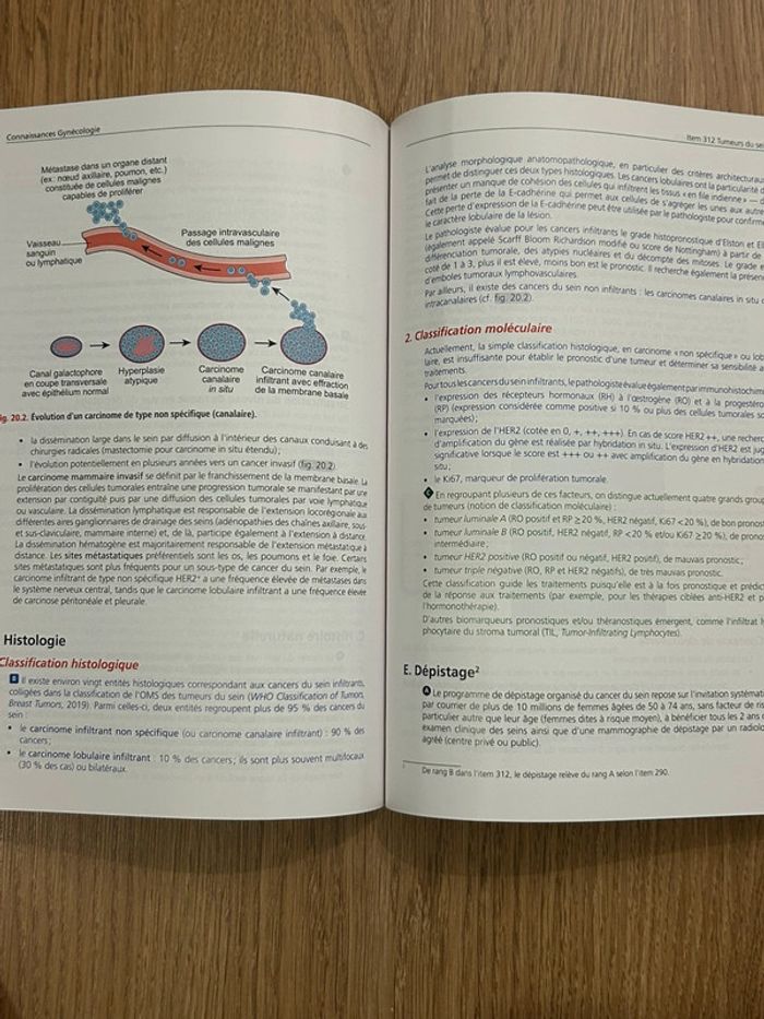 Référentiel gynécologie obstétrique EDN - photo numéro 4