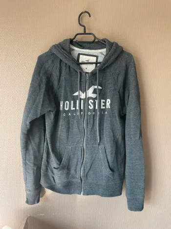 Veste à capuche hollister