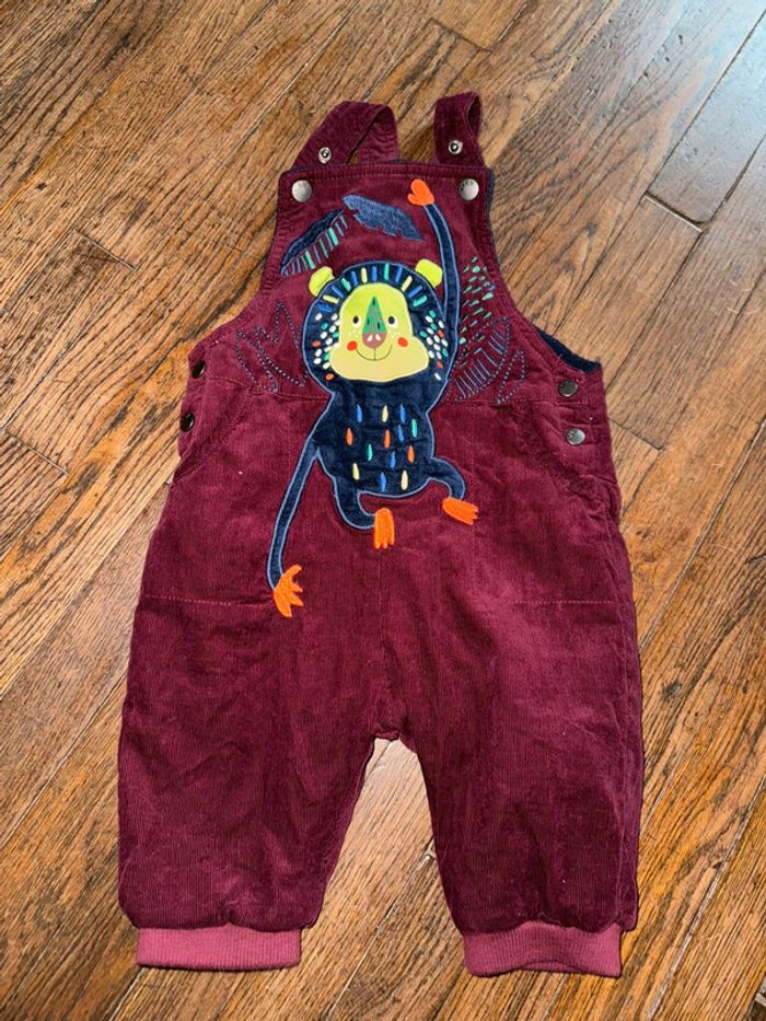 Salopette velour doublée polaire du pareil au même  12 mois