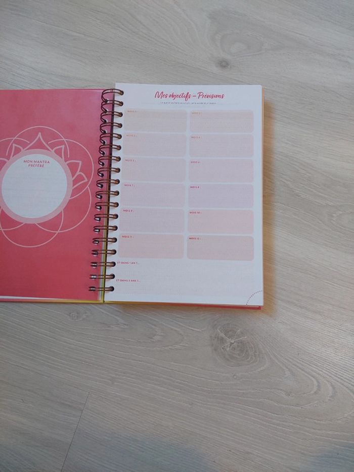 Agenda Business Coach – Girlboss 🌟 - photo numéro 5