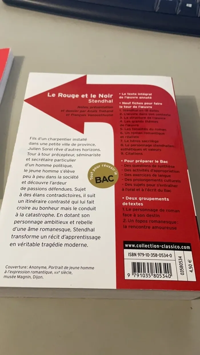 Le rouge et le noir (bac français) - photo numéro 3