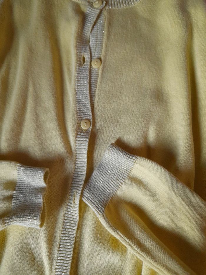 Gilet - photo numéro 2
