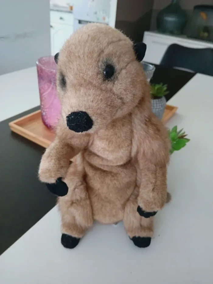 Péluche Suricate National Géographic🌿🎁 - photo numéro 4