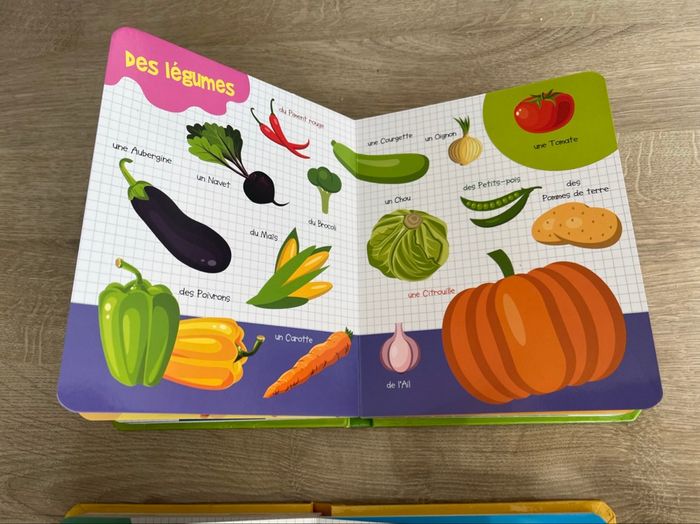 2 livres mes premiers mots pour découvrir la nature et les animaux - photo numéro 4