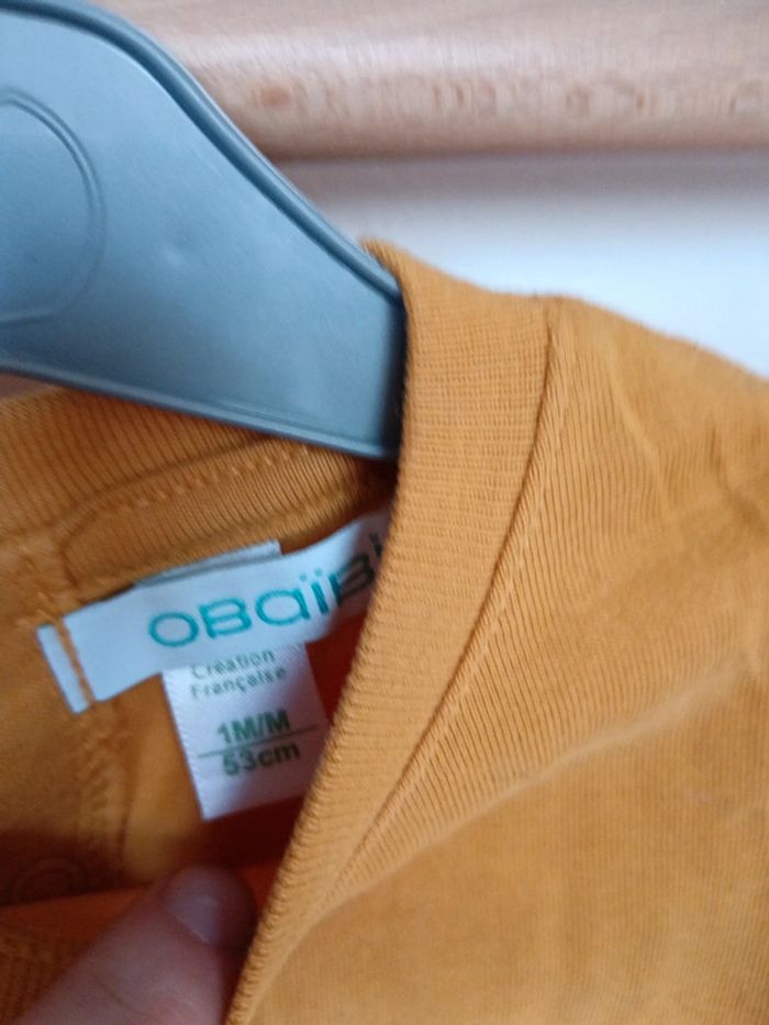 Pulls obaïbi raton laveur - photo numéro 5