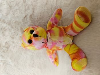 🌟🧸 Peluche Ourson 🧸