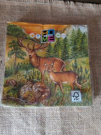 Lot de 17 serviettes en papier animaux de la forêt