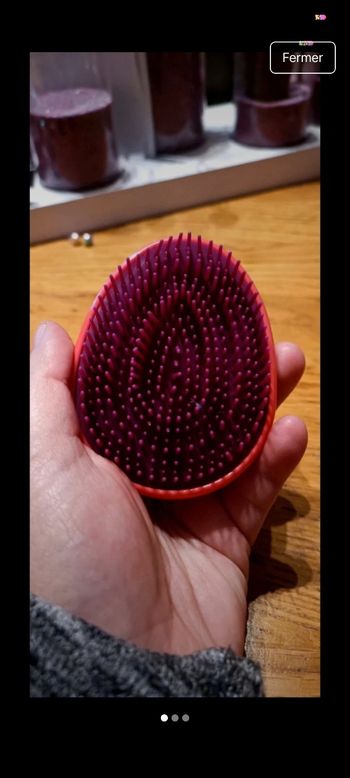 Brosse rose