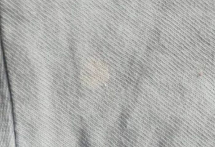 Lots de t-shirt manche courte - photo numéro 5