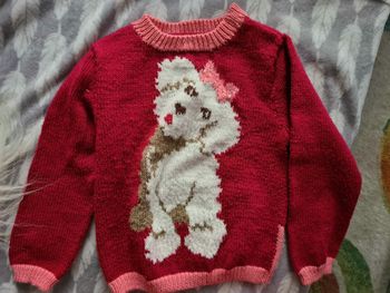 Pull avec petit chien