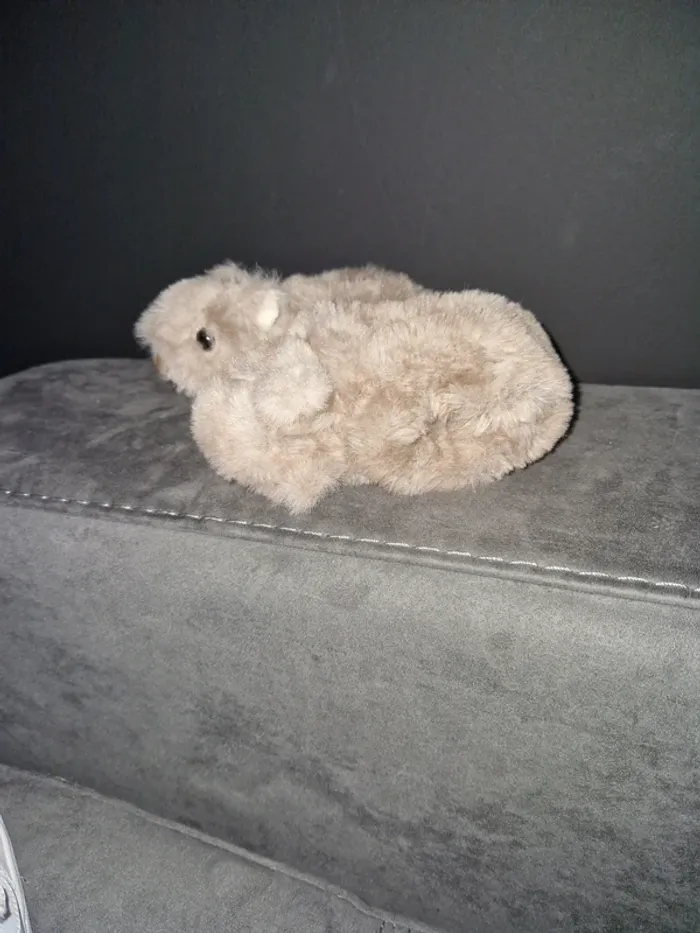 Pantoufles 🐹0/3 - photo numéro 5
