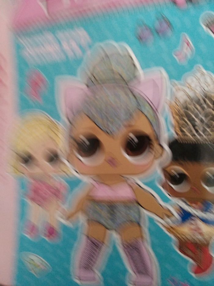 Livre lol - photo numéro 2