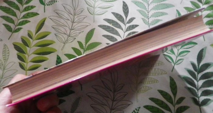 Téa Stilton n°3 La cité secrète Albin Michel Jeunesse - photo numéro 4