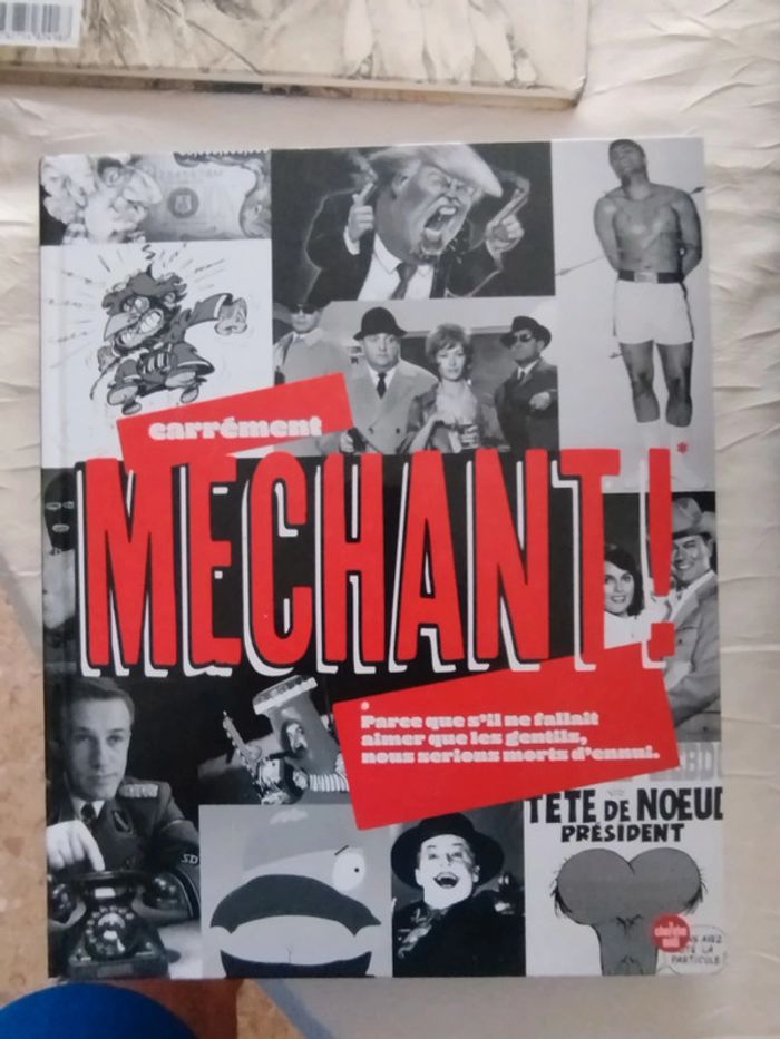 Livre carrément méchant