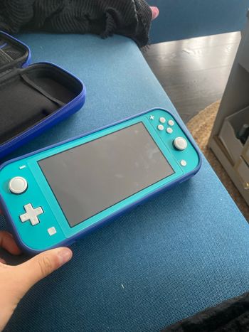 Nintendo switch lite