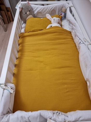 Housse de couette + Taie d'oreilles + Drap