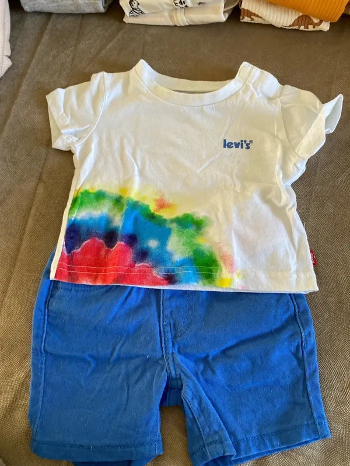 Ensemble Levis