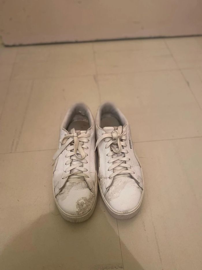 Puma basket - photo numéro 2