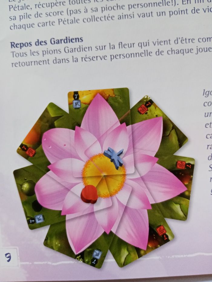 Lotus jeu - photo numéro 7