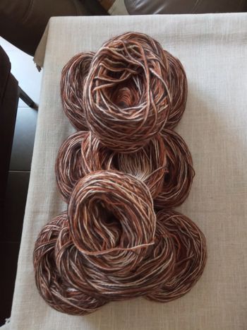 Lot de 11 Pelotes Marron Roux, Marron Foncé et Beige (810g)