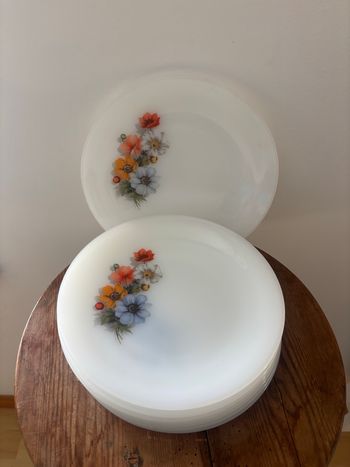 Vintage lot de 8 assiettes à dessert Arcopal anémones