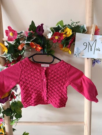 Gilet Du pareil au même 9mois