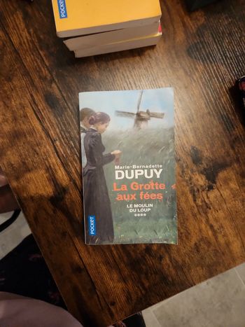 Livre : La grotte aux fées