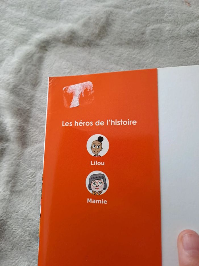 Folle enquête avec mamie - photo numéro 5