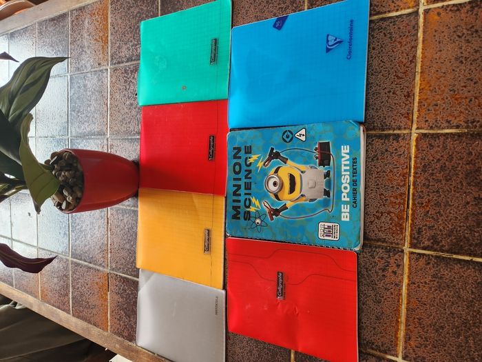 Lot 7 cahier 17x22