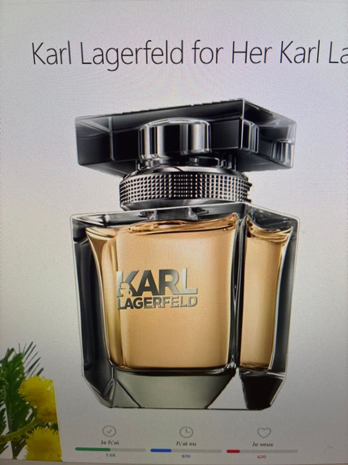 Karl Lagerfeld for Her 85ml - photo numéro 2