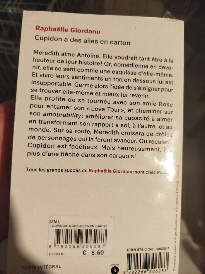 Cupidon a des ailes en carton - photo numéro 2