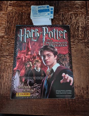 Harry potter panini