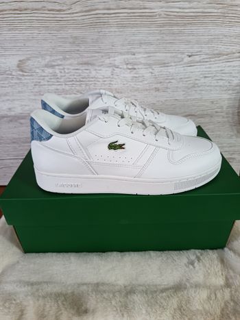 Basket Lacoste 