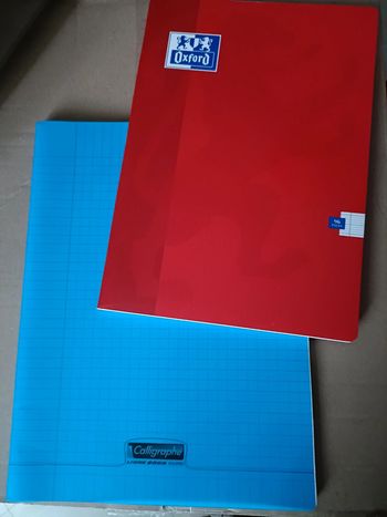 2 cahiers de fournitures scolaires