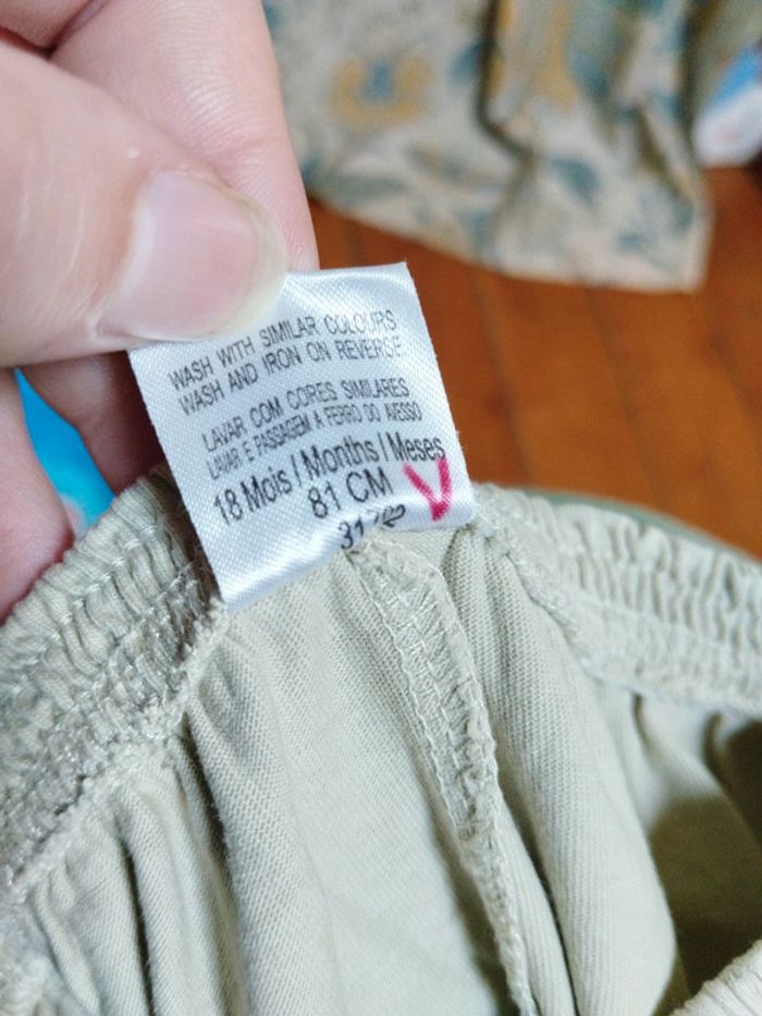 Short fin - photo numéro 3