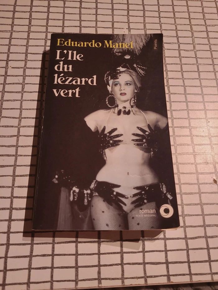 L'île du lézard vert