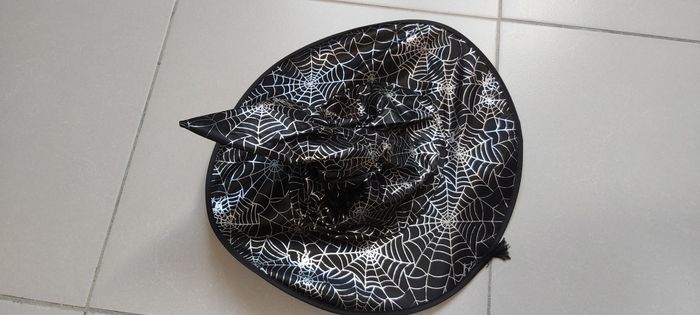 Chapeau de sorcière - photo numéro 4