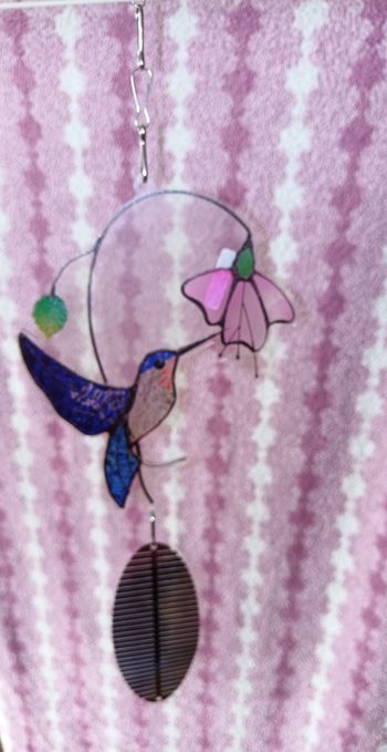 Attrape soleil colibri