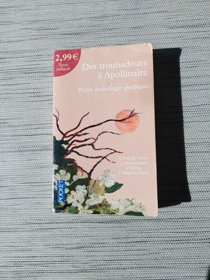 Des troubadours à Apollinaire