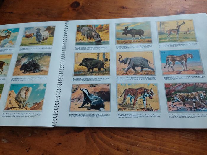 Album chromos l'univers en couleurs Biscottes Saint Luc - photo numéro 7