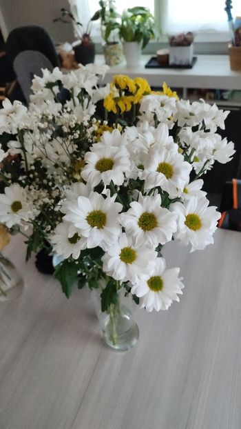 Fleurs