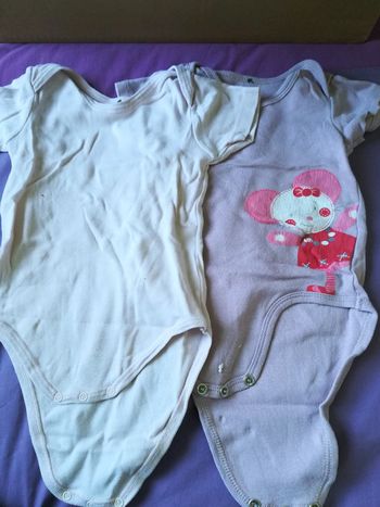 Lot 3 bodies manches courtes