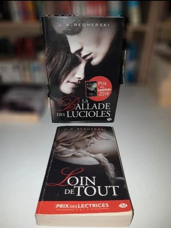 Livre de J.A. Redmerski new romance