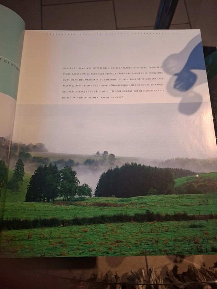 Rencontres dans les Ardennes luxembourgeoises - photo numéro 6